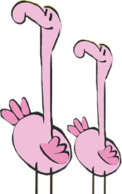 Flamingi Happy